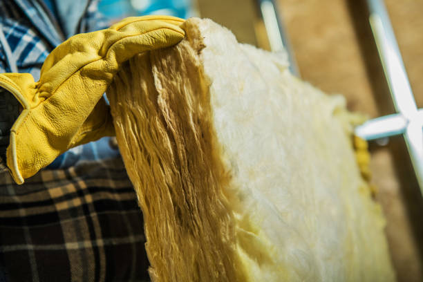 Best Geographic-Specific Insulation Services in Dresden, OH